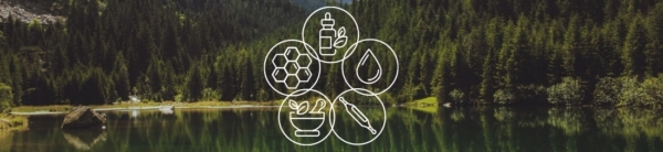 Visuel-Humer-sciences-de-la-nature-foret