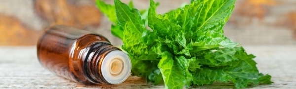 Sinusite méthodes naturelles Sinusite méthodes naturelles