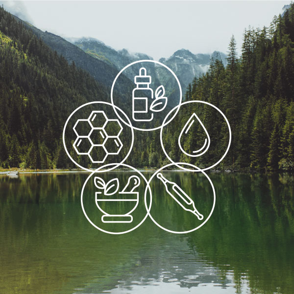 Visuels-sciences-de-la-nature-foret
